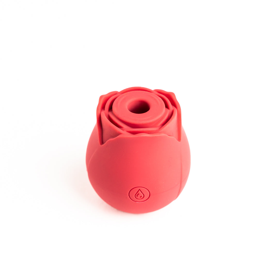 Sensua Rose